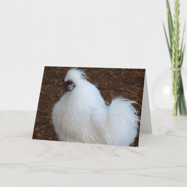 White Silkie Chicken Card (Front)