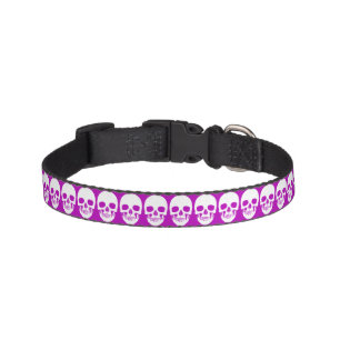 White skulls on a pink Dog Collar