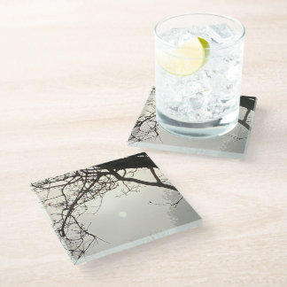 White Sky And Sun Dramatically Framed By Trees Glass Coaster