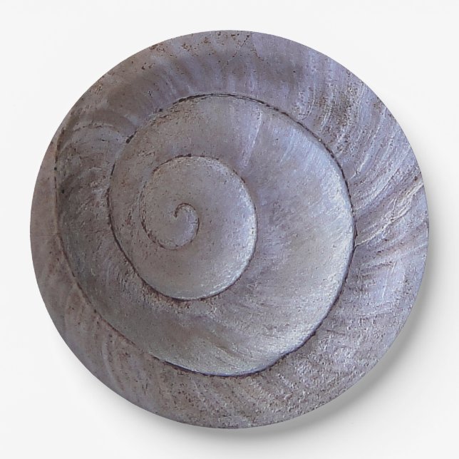 White snail shell paper plates (Front)