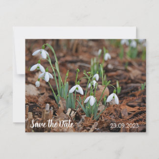 White Snow Drop Celebration Save the Date Holiday Card