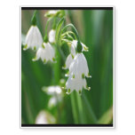 White Snow Drop Lilies Temporary Tattoos