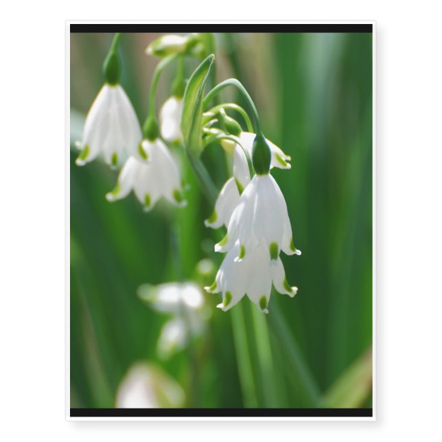 White Snow Drop Lilies Temporary Tattoos (Front)