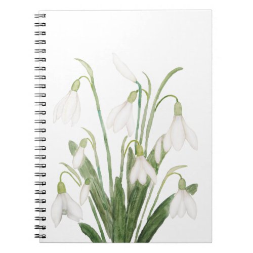 white snowdrop flower botanical watercolor paintin notebook