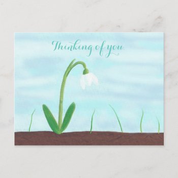 White Snowdrop Flower Thinking Of You Postcards by Cherylsart at Zazzle