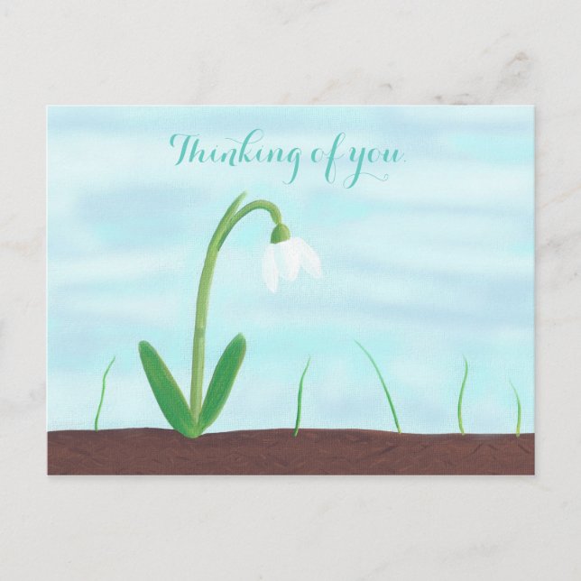 White Snowdrop Flower Thinking of you Postcards (Front)