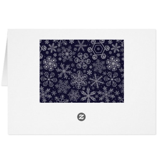 White Snowflakes on blue (Back Horizontal)