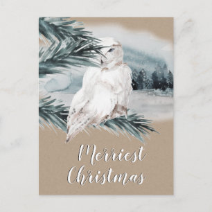 White Snowy Owl Blue Spruce Branch Woodland Scene Postcard