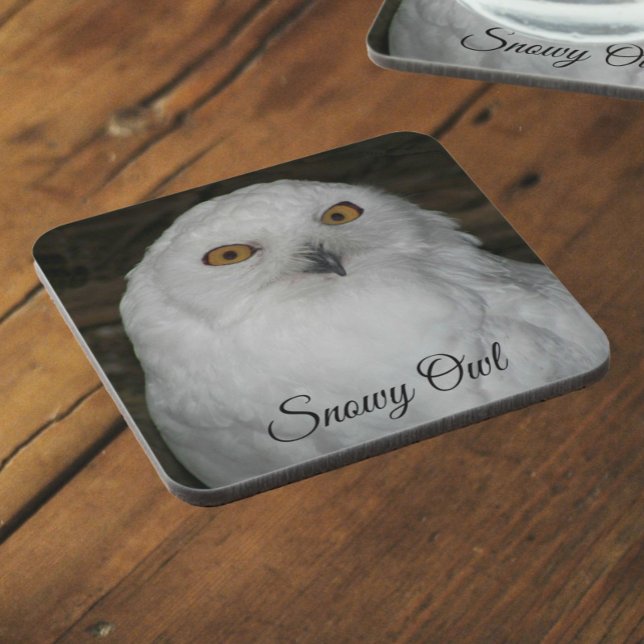 White Snowy Owl Nature Photo Beverage Coaster (In Situ Angled)