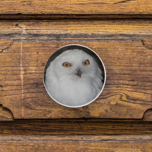 White Snowy Owl Nature Photo Ceramic Knob (In Situ)