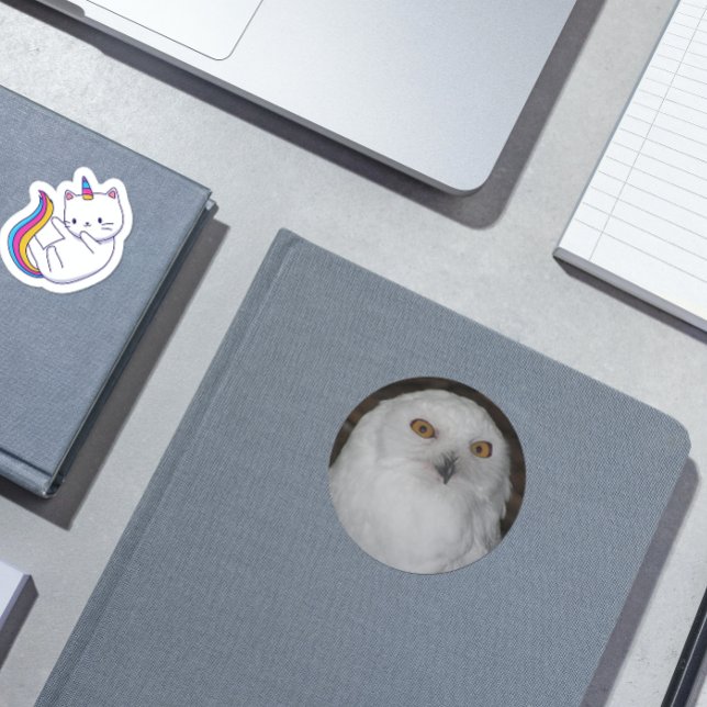 White Snowy Owl Nature Photo Classic Round Sticker (In Situ)