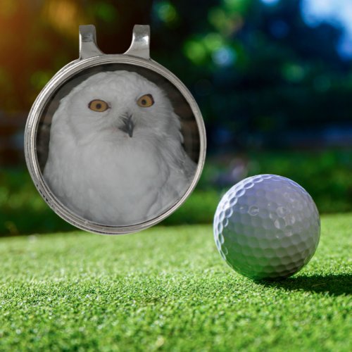 White Snowy Owl Nature Photo Golf Hat Clip