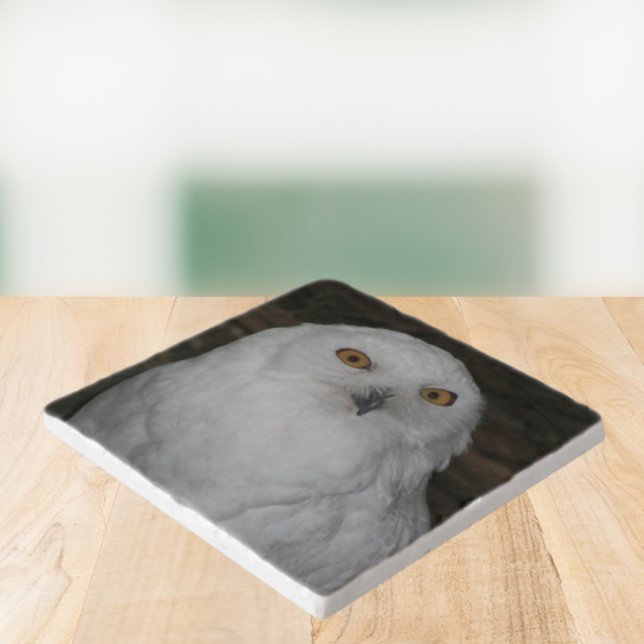 White Snowy Owl Nature Photo Trivet (In Situ Angled)