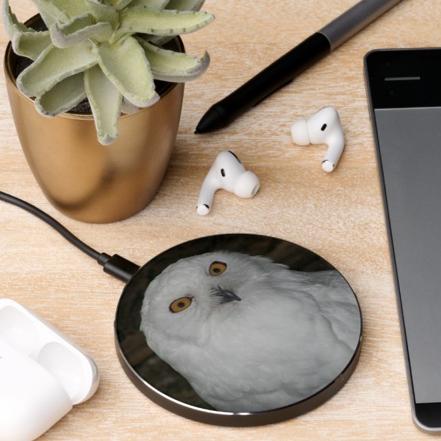 White Snowy Owl Nature Photo Wireless Charger (Desk 2)