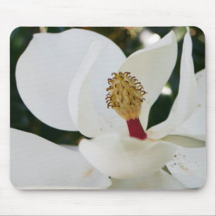 White southern magnolia flower gifts blossom close mouse pad