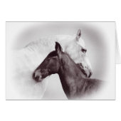 White Spanish Andalusian mare with black foal (Front Horizontal)