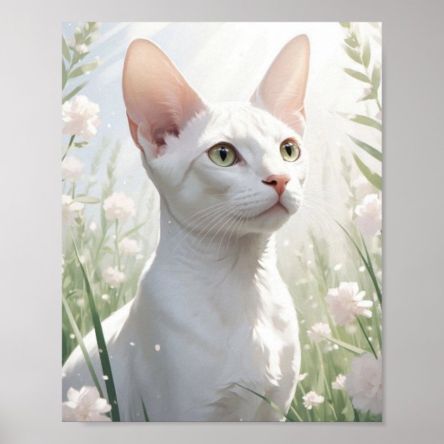White Sphinx Cat and Flowers Poster (Front)