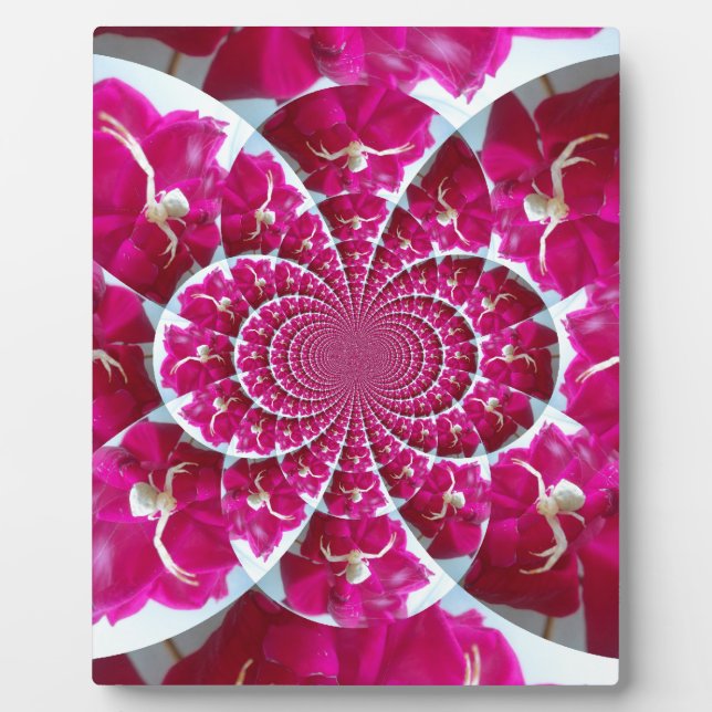 White Spider on a Beautiful Red Rose Plaque (Front)