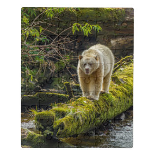 White Spirit Bear British Columbia, Canada Jigsaw Puzzle