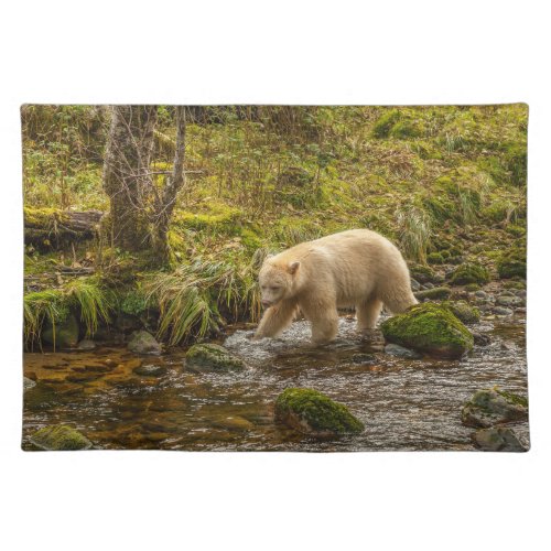 White Spirit Bear Hunts for fish on Riordan Creek Cloth Placemat