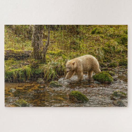 White Spirit Bear Hunts for fish on Riordan Creek Jigsaw Puzzle