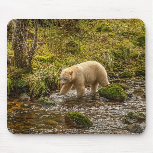 White Spirit Bear Hunts for fish on Riordan Creek Mouse Pad