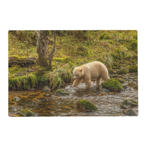 White Spirit Bear Hunts for fish on Riordan Creek Placemat