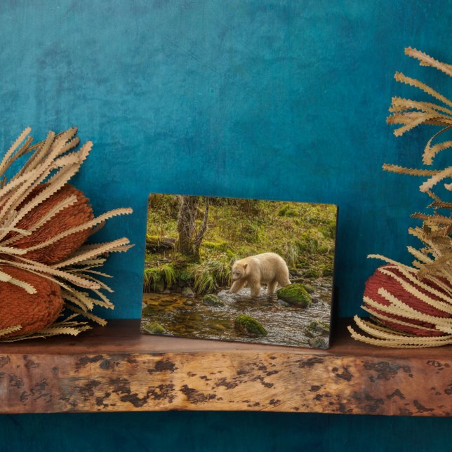 White Spirit Bear Hunts for fish on Riordan Creek Plaque (Side)