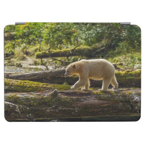 White Spirit Bear Hunts iPad Air Cover