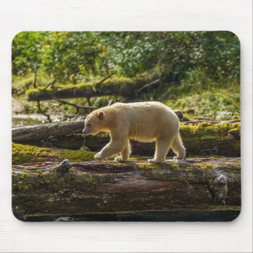 White Spirit Bear Hunts Mouse Pad