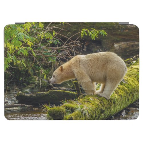 White Spirit Bear iPad Air Cover