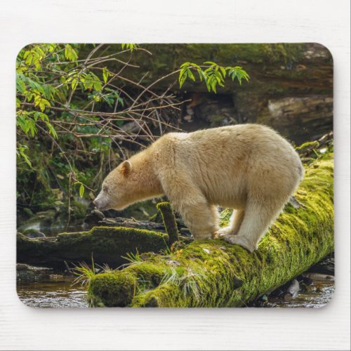 White Spirit Bear Mouse Pad