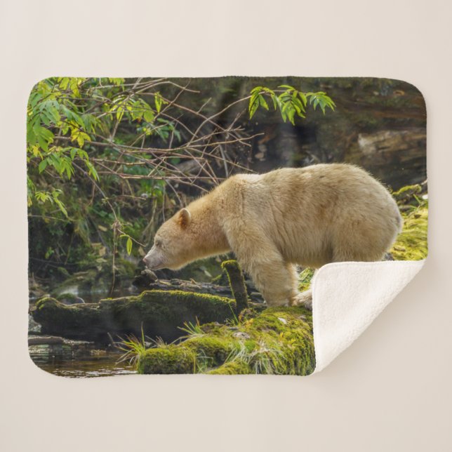 White Spirit Bear Sherpa Blanket (Front (Horizontal))