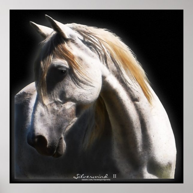 White Spirit Stallion Equine Art Poster (Front)