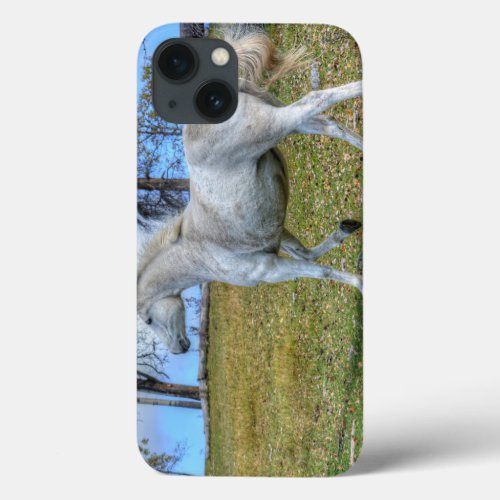 White Spirited Horse Equine Photo on a BC Ranch iPhone 13 Case