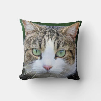 White spotted cat - lovers of cat photos throw pillow