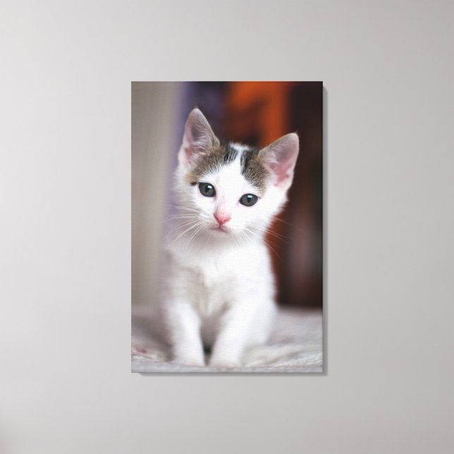 White Spotted Kitty Canvas Print (Front)