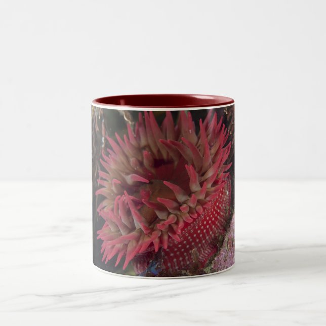 White-spotted Rose Anemone Two-Tone Coffee Mug (Center)