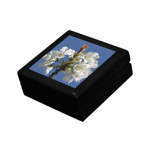 White Spring Bloom Gift Box