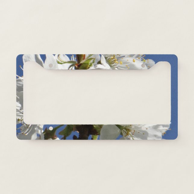 White Spring Bloom License Plate Frame (Front)