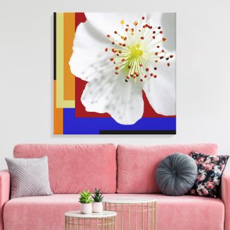 White Spring Blossom Fine Art Colorful Geometric 