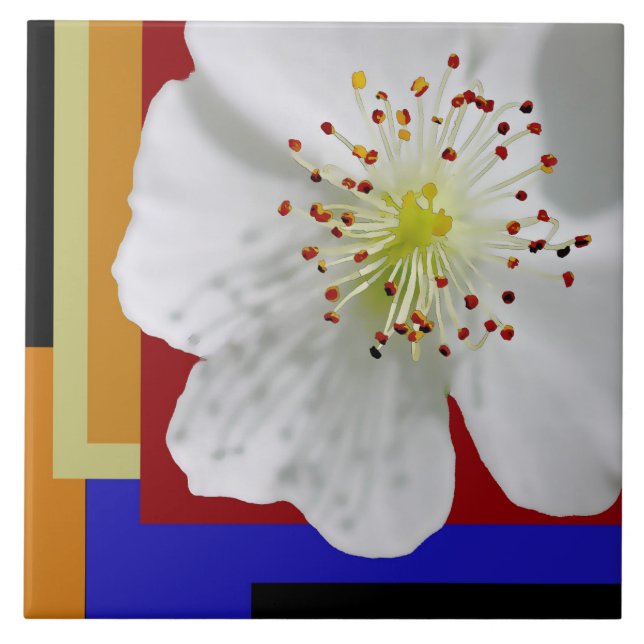 White Spring Blossom Fine Art Colorful Geometric  Ceramic Tile (Front)