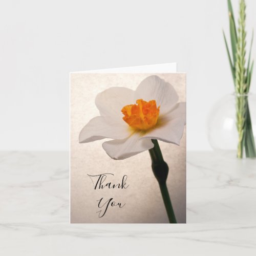 White Spring Daffodil Thank You Note