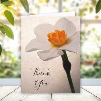 White Spring Daffodil Thank You Note Card