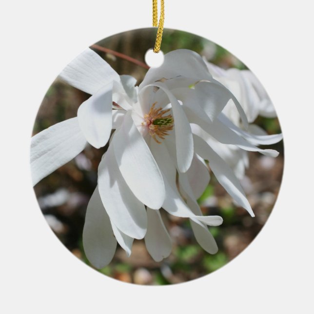 White Spring Magnolia Blossom Flower Ornament (Front)