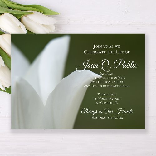 White Spring Tulip Celebration of Life Memorial Invitation