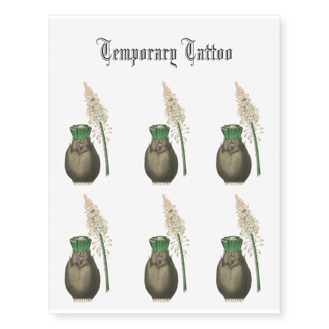 White squill flowers with brown bulb antique temporary tattoos (Front)