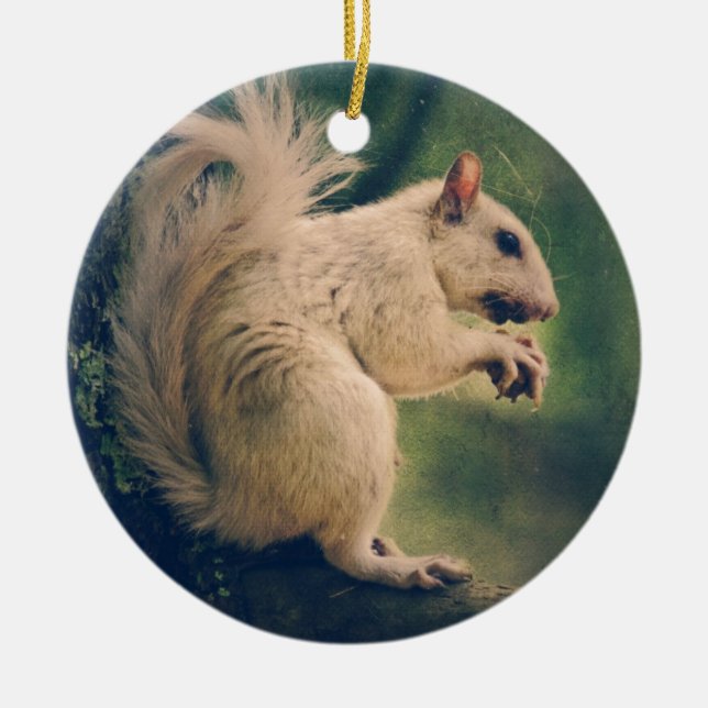 White Squirrel Ceramic Ornament (Front)