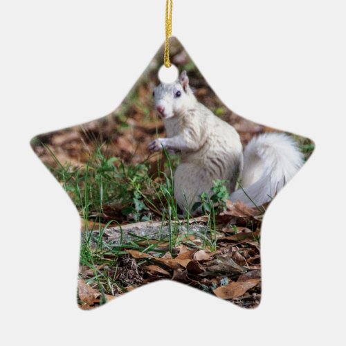 White Squirrel of Brevard Ceramic Ornament