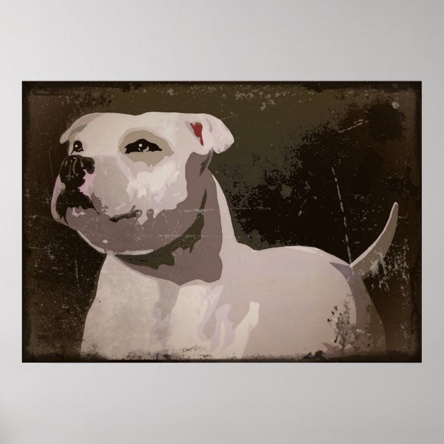 White Staffordshire Bull Terrier urban background Poster (Front)